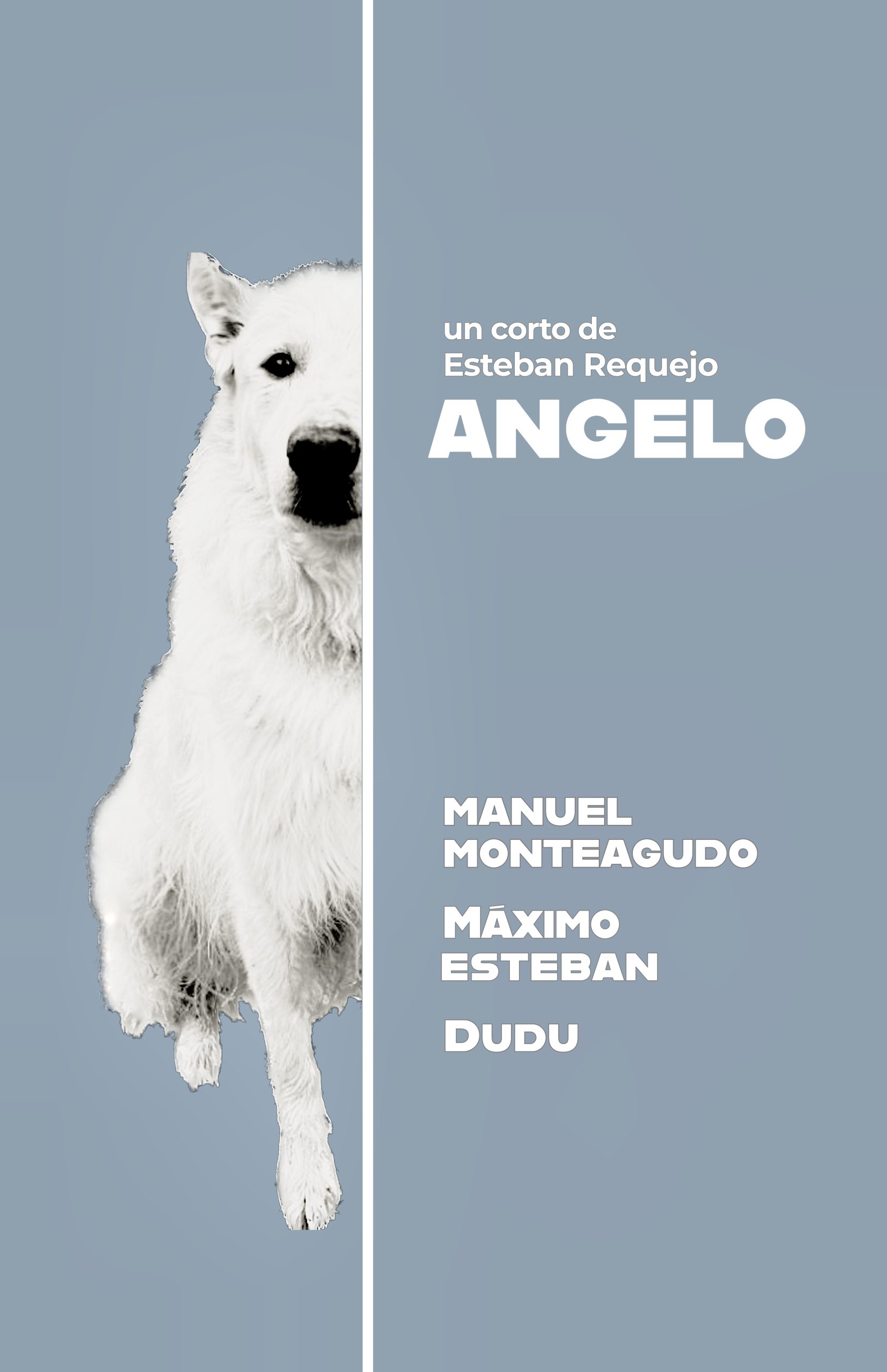 Póster del corto ANGELO