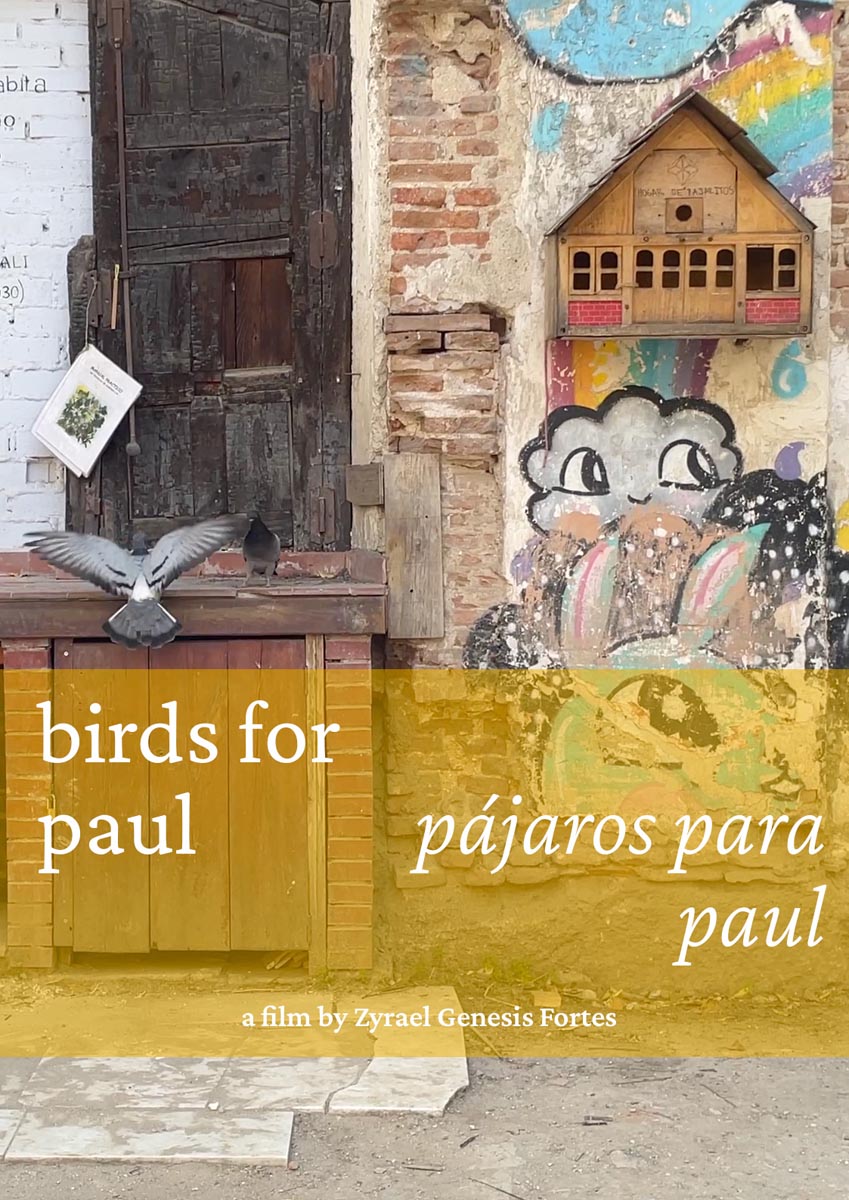 Póster del corto Birds for Paul (Pájaros para Paul)