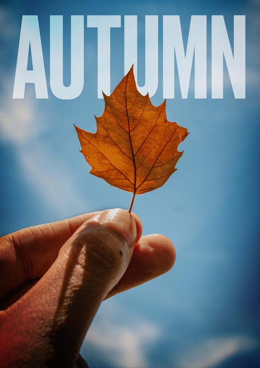 Póster del corto Autumn