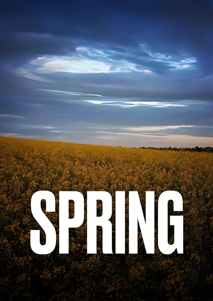 Póster del corto Spring