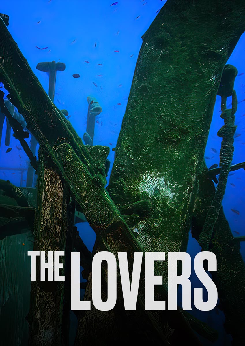 Póster del corto The lovers