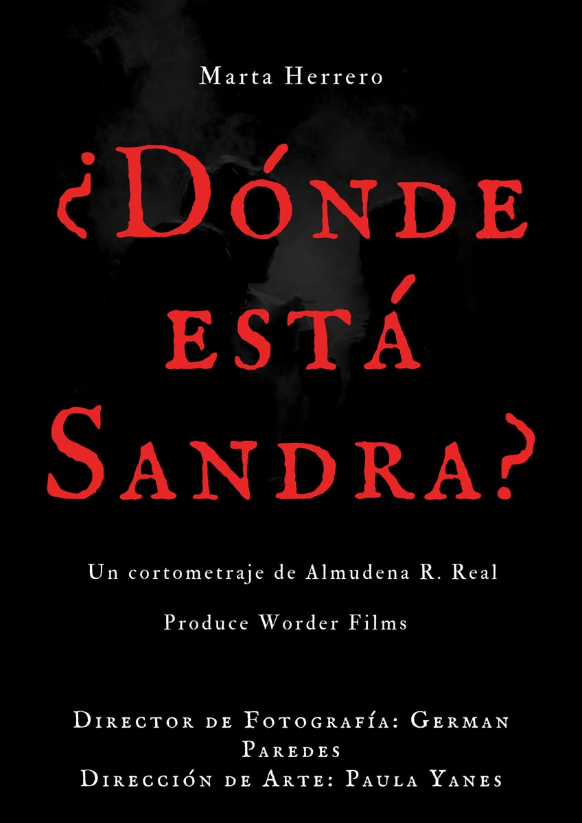 Póster del corto ¿Dónde esta Sandra?