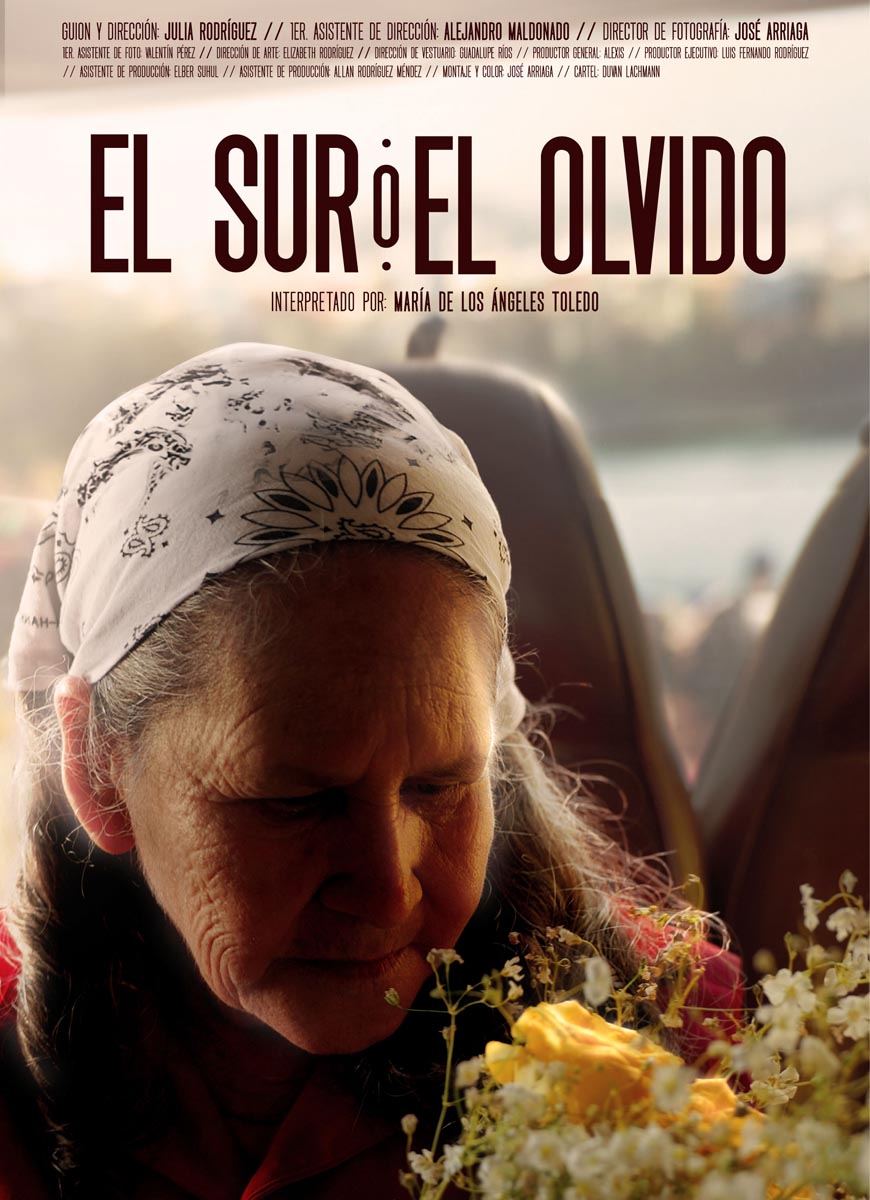 Póster del corto El sur o el olvido