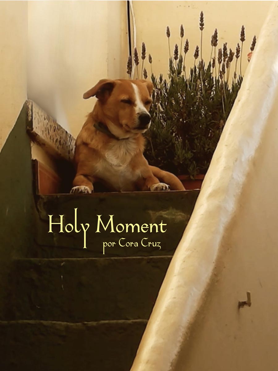 Póster del corto Holy Moment