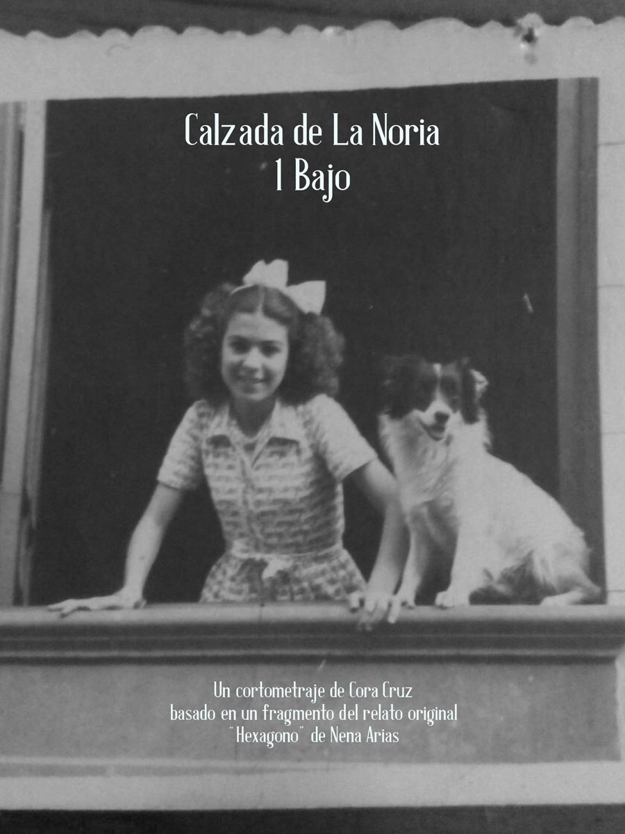 Póster del corto Calzada de La Noria, 1 Bajo