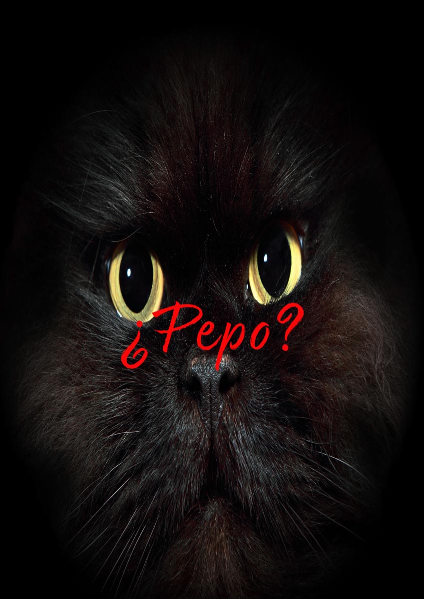 Póster del corto ¿Pepo?