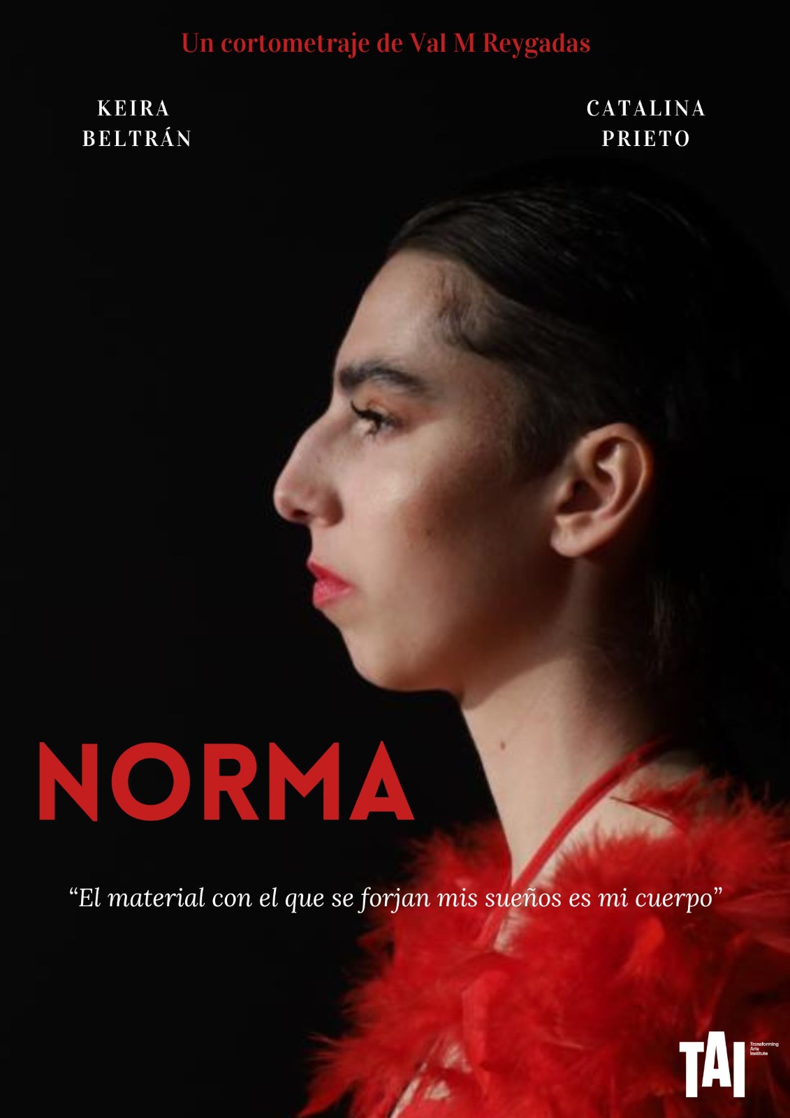 Póster del corto NORMA