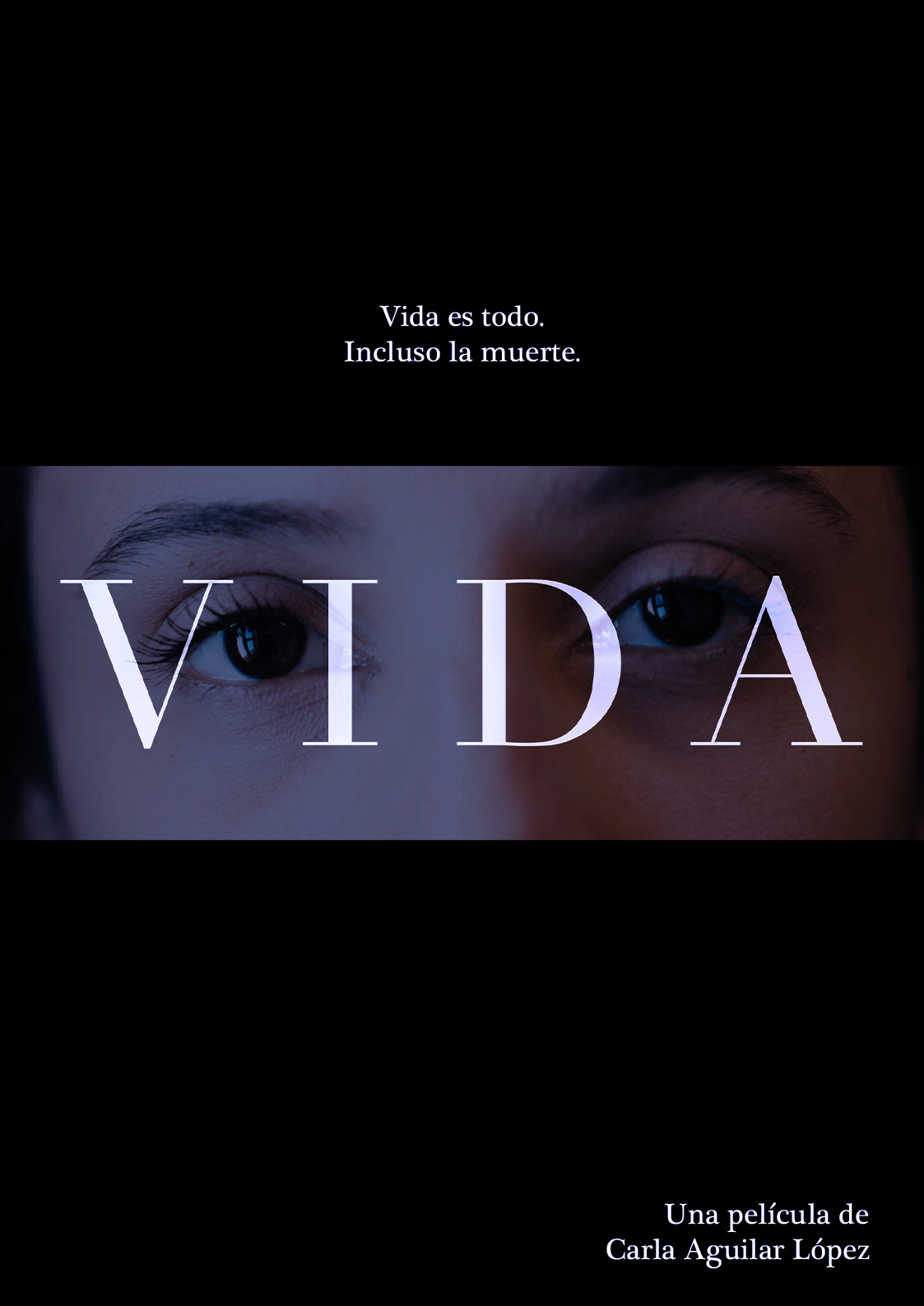 Póster del corto V I D A