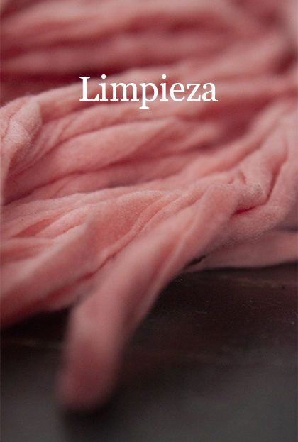 Póster del corto Limpieza