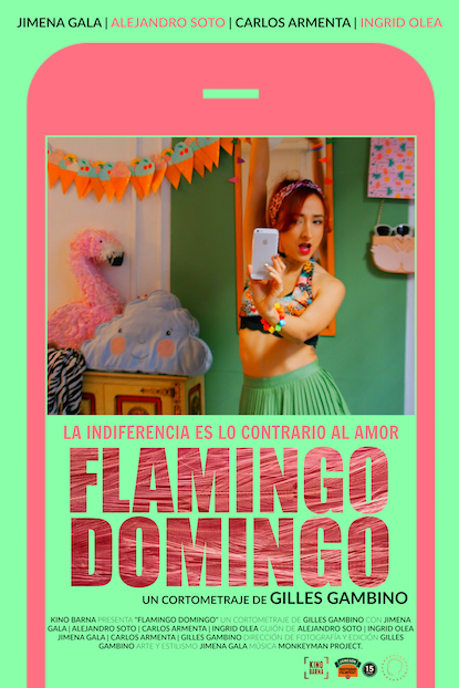 Póster del corto Domingo Flamingo