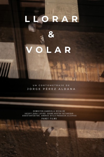 Póster del corto Llorar & Volar