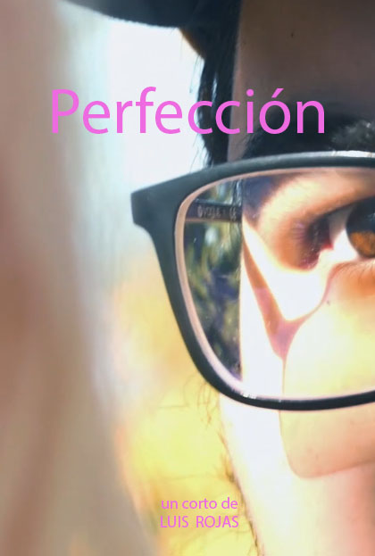 Póster del corto perfección