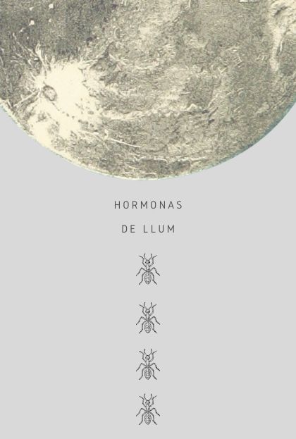 Póster del corto HORMONAS DE LLUM