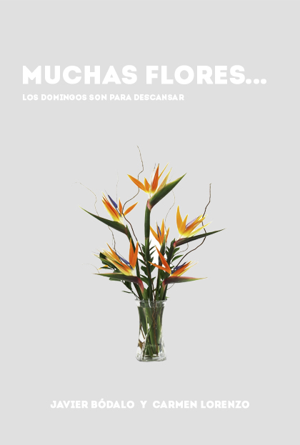 Póster del corto MUCHAS FLORES