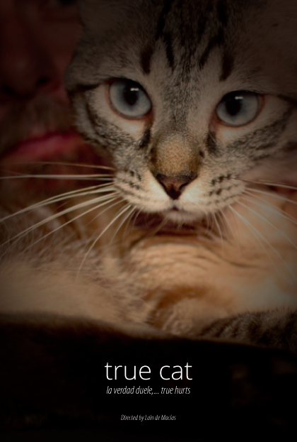 Póster del corto True cat