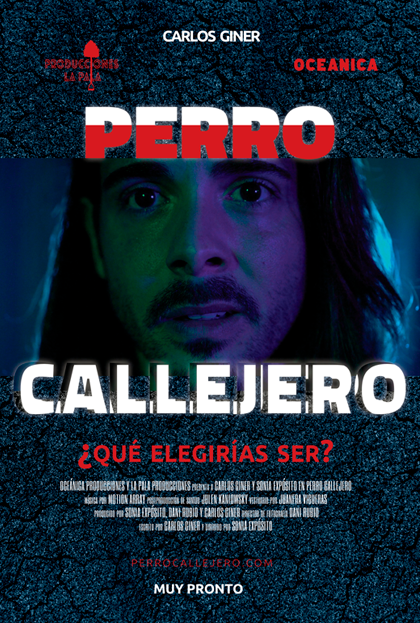 Póster del corto Perro Callejero