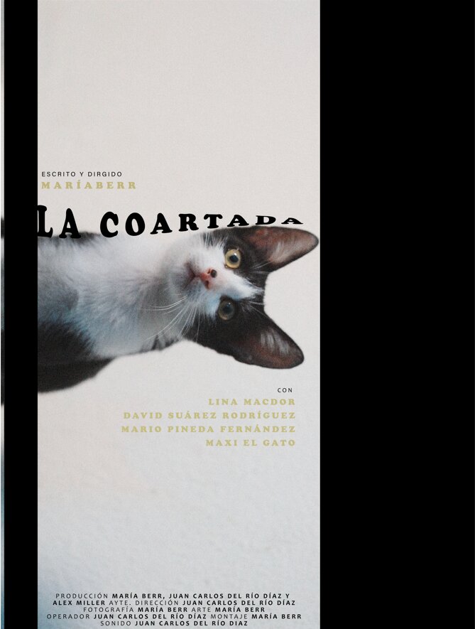 Póster del corto La coartada