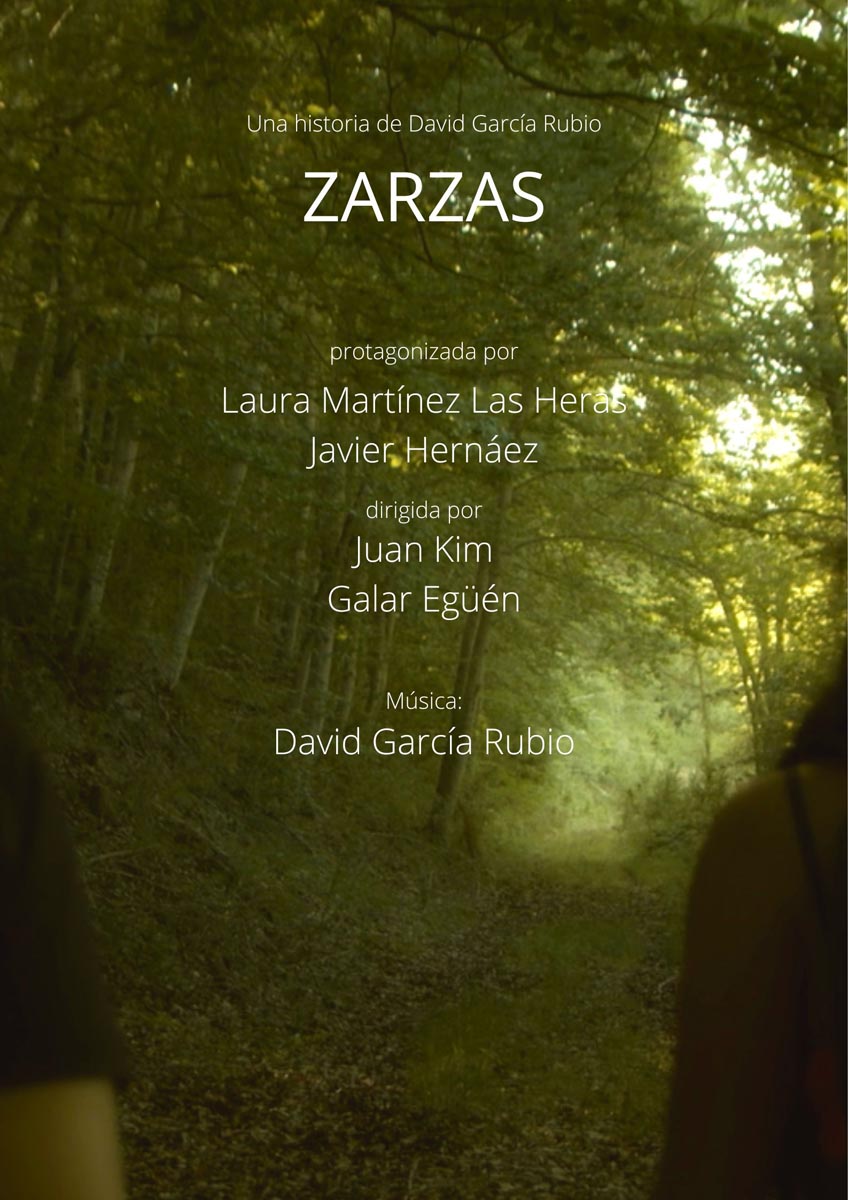 Póster del corto Zarzas