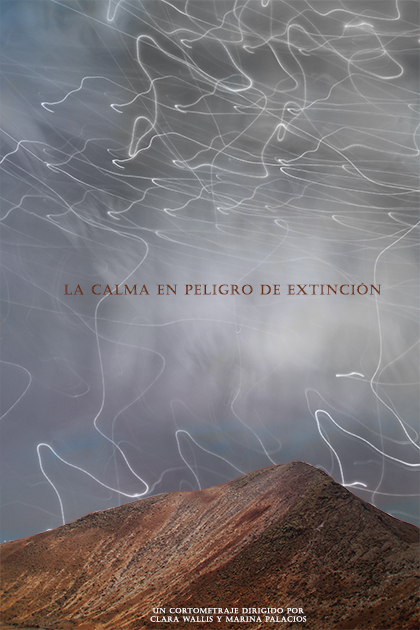 Póster del corto La calma en peligro de extinción