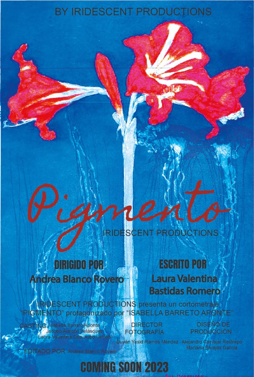 Póster del corto Pigmento