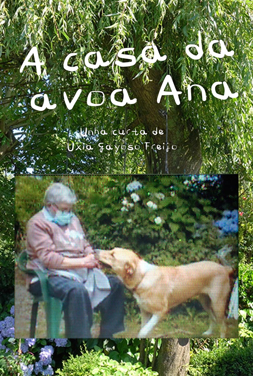 Póster del corto A casa da avoa Ana