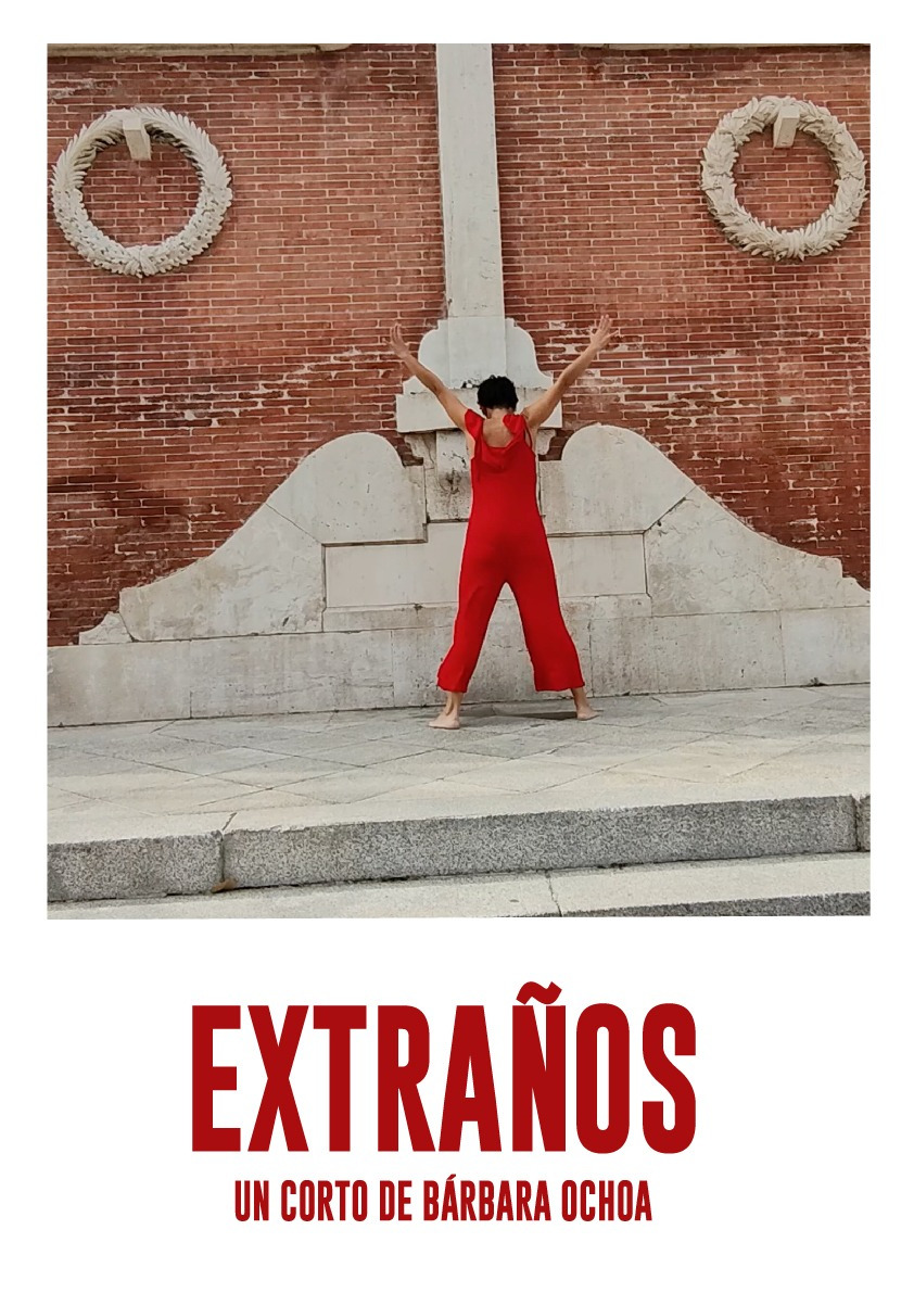 Póster del corto Extraños