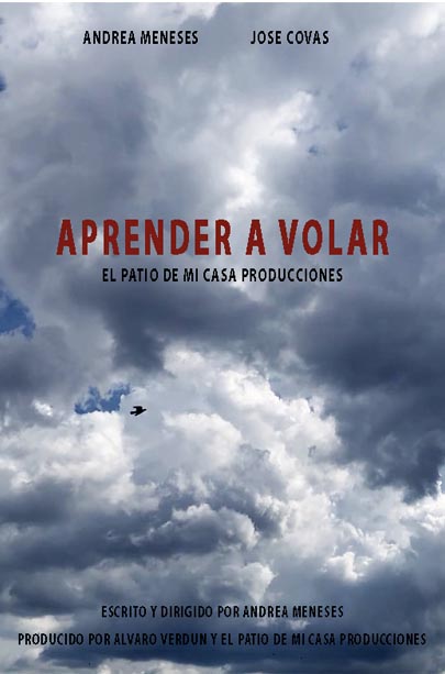 Póster del corto Aprender a volar