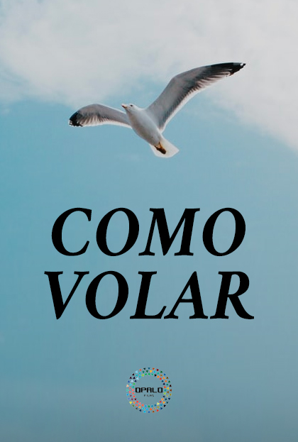 Póster del corto Como volar