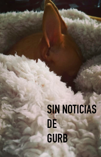 Póster del corto SIN NOTICIAS DE GURB