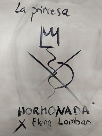 Póster del corto LA PRINCESA HORMONADA