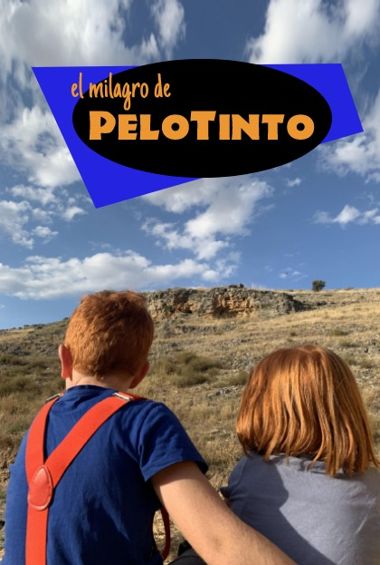 Póster del corto El milagro de PeloTinto