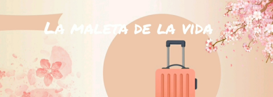 Póster del corto La maleta de la vida