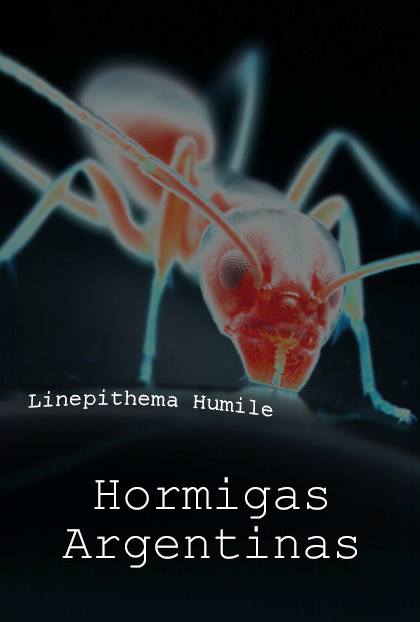 Póster del corto Hormigas argentinas