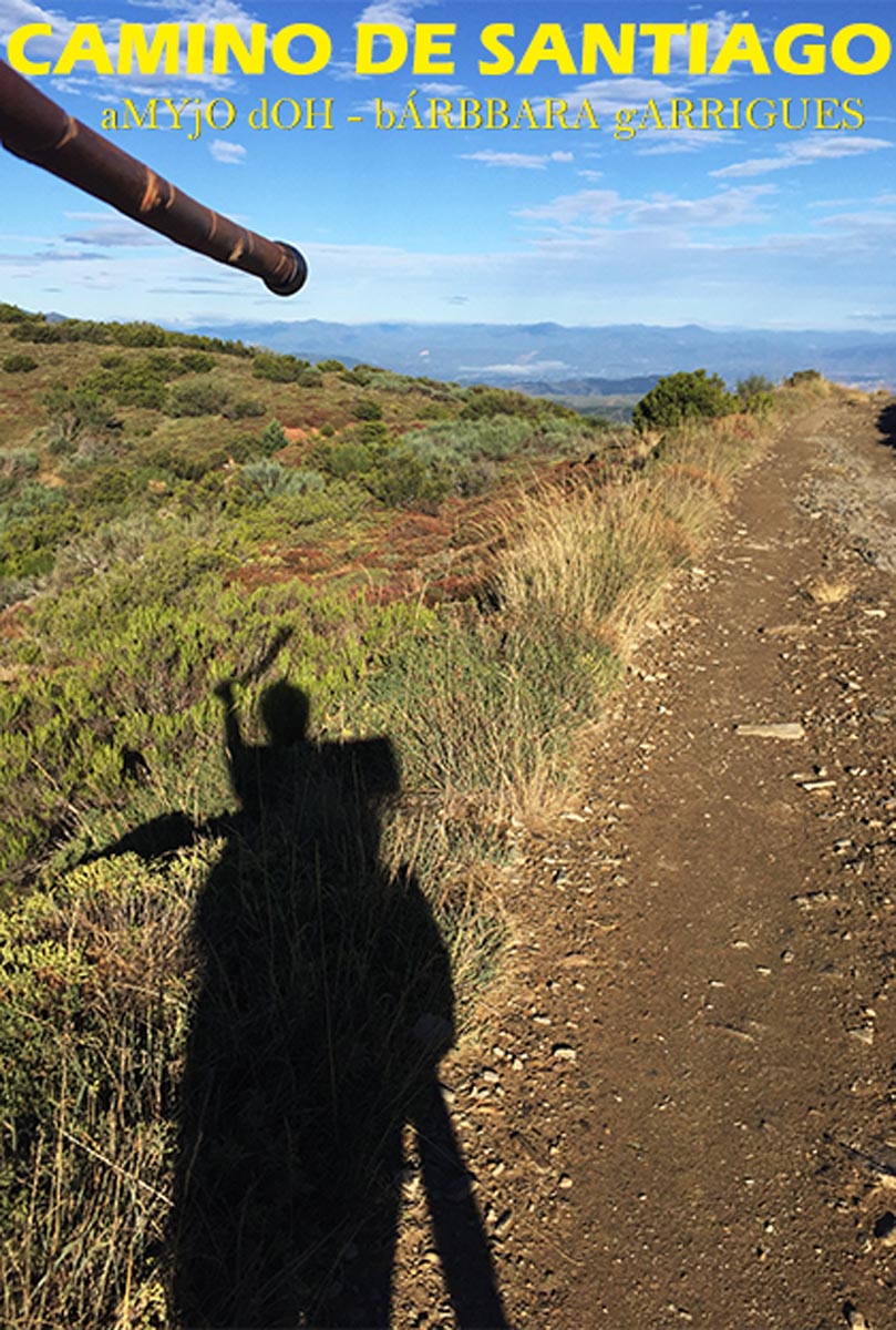 Póster del corto Camino a Santiago