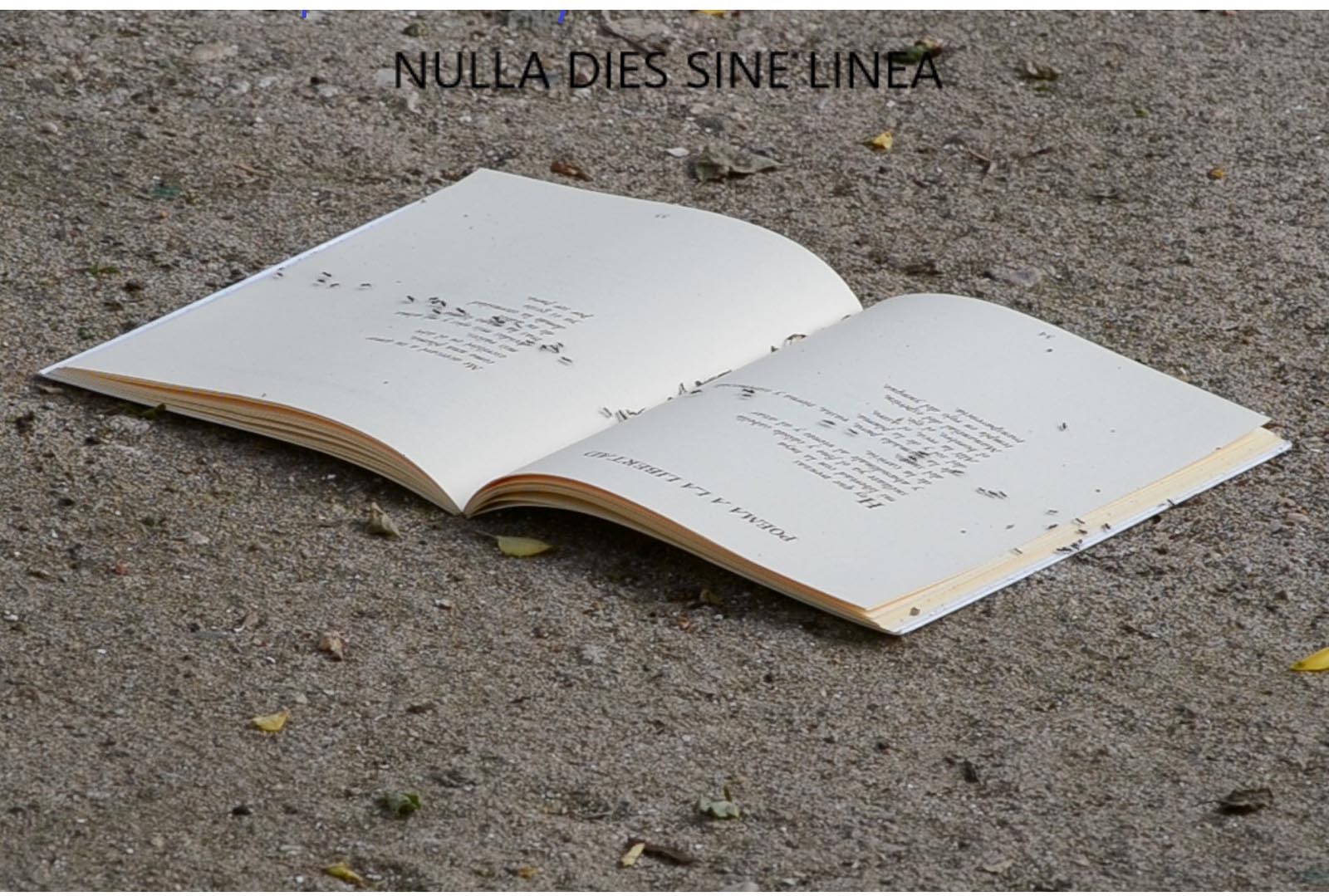 Póster del corto NULLA DIES SINE LINEA