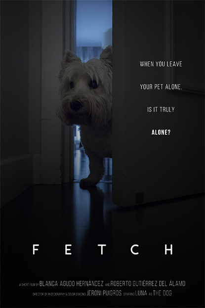 Póster del corto Fetch