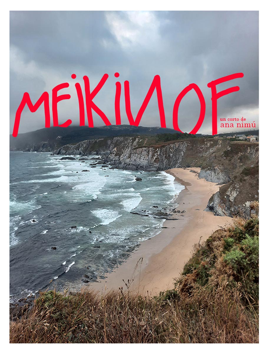 Póster del corto Meikinof