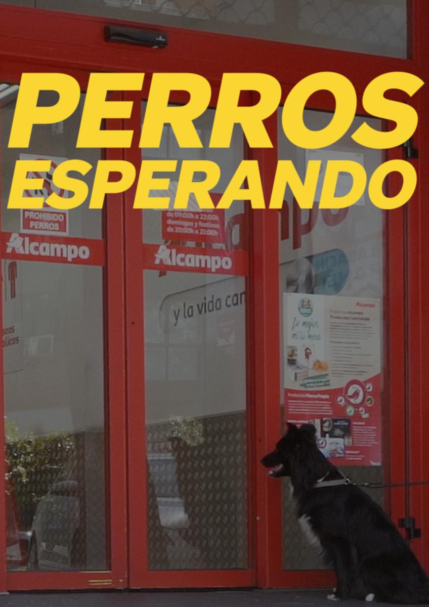 Póster del corto Perros Esperando