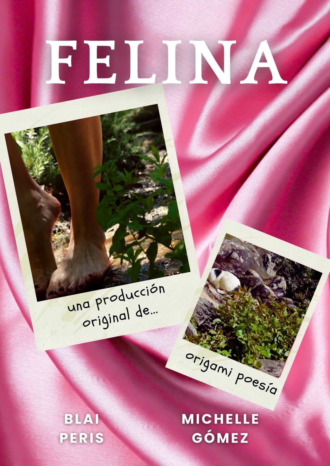 Póster del corto Felina