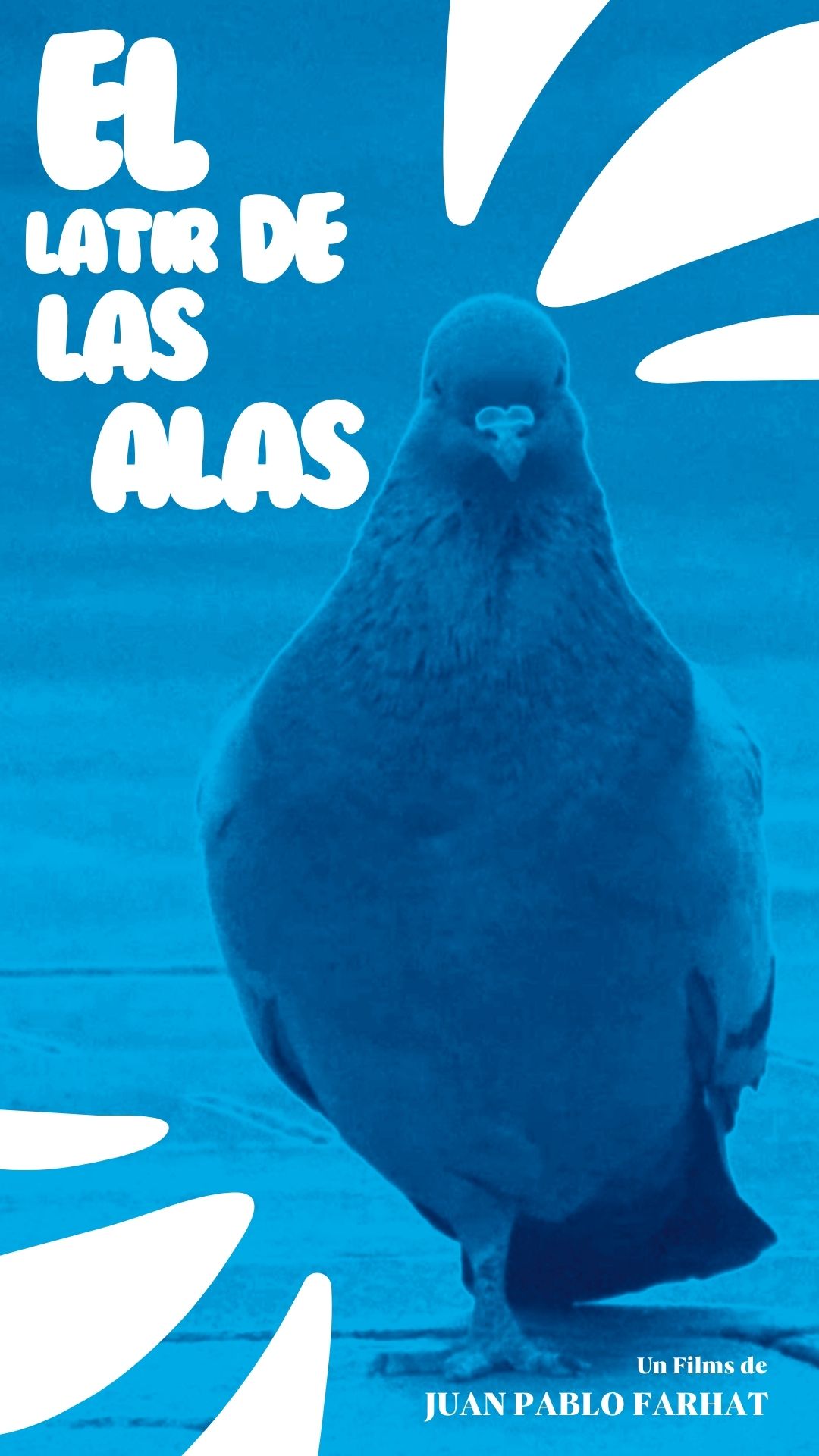 Póster del corto EL BATEGAR DE LES ALES / EL LATIR DE LAS ALAS