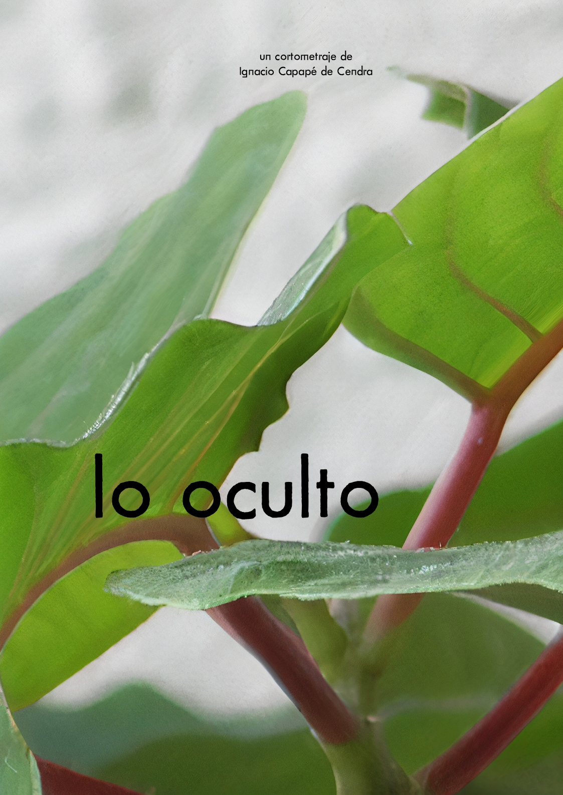 Póster del corto Lo oculto