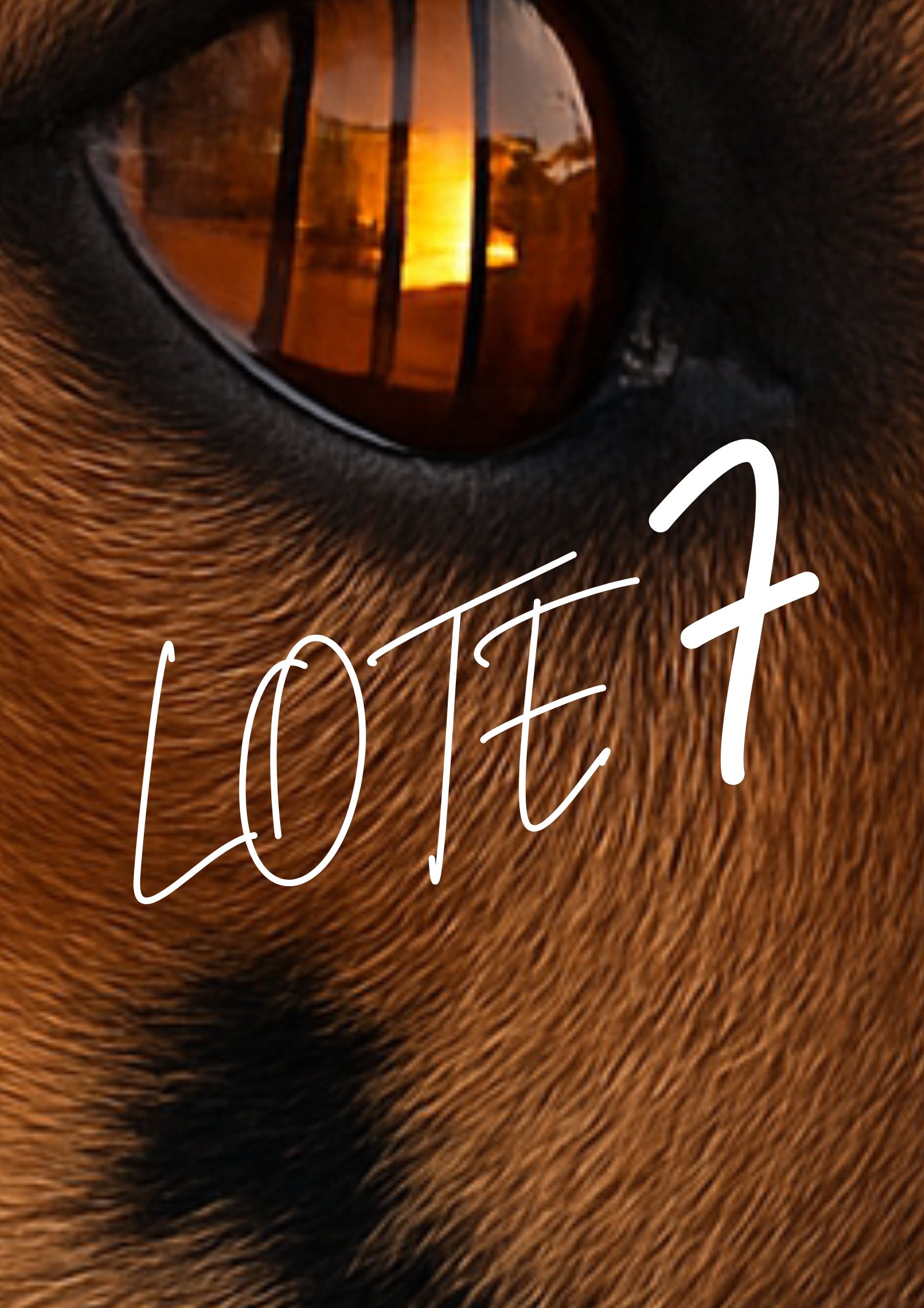 Póster del corto Lote 7