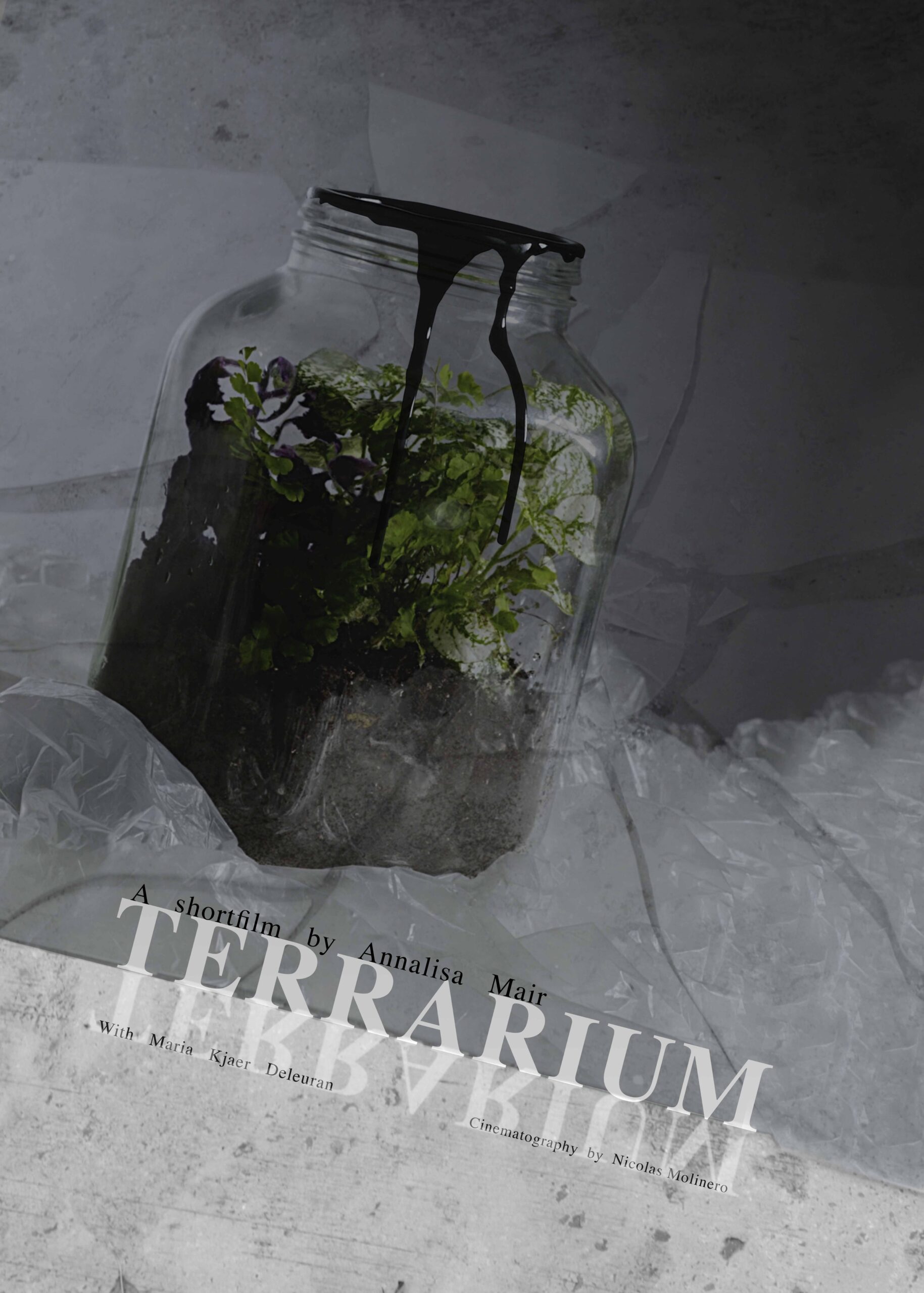 Póster del corto Terrarium