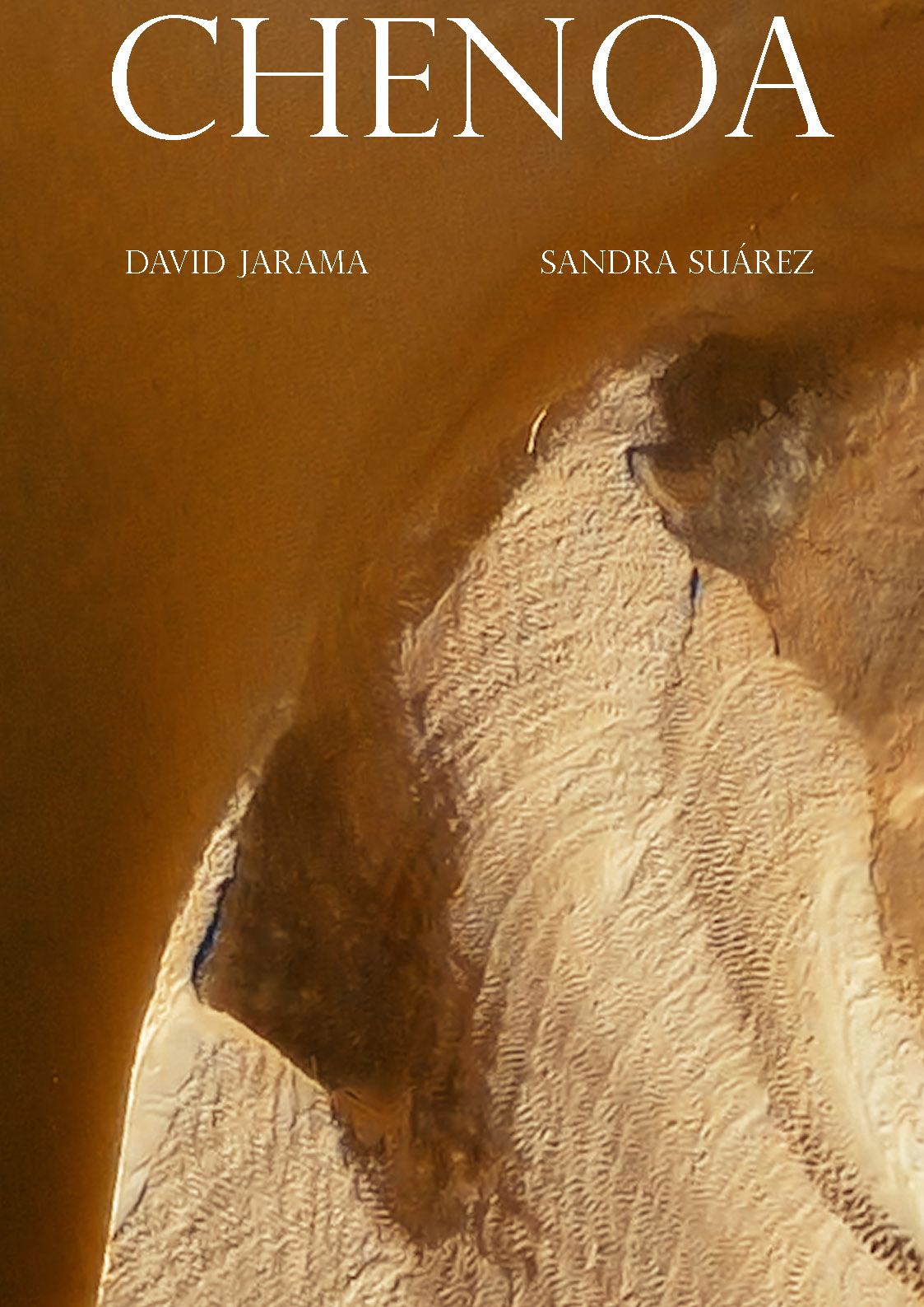 Póster del corto Chenoa