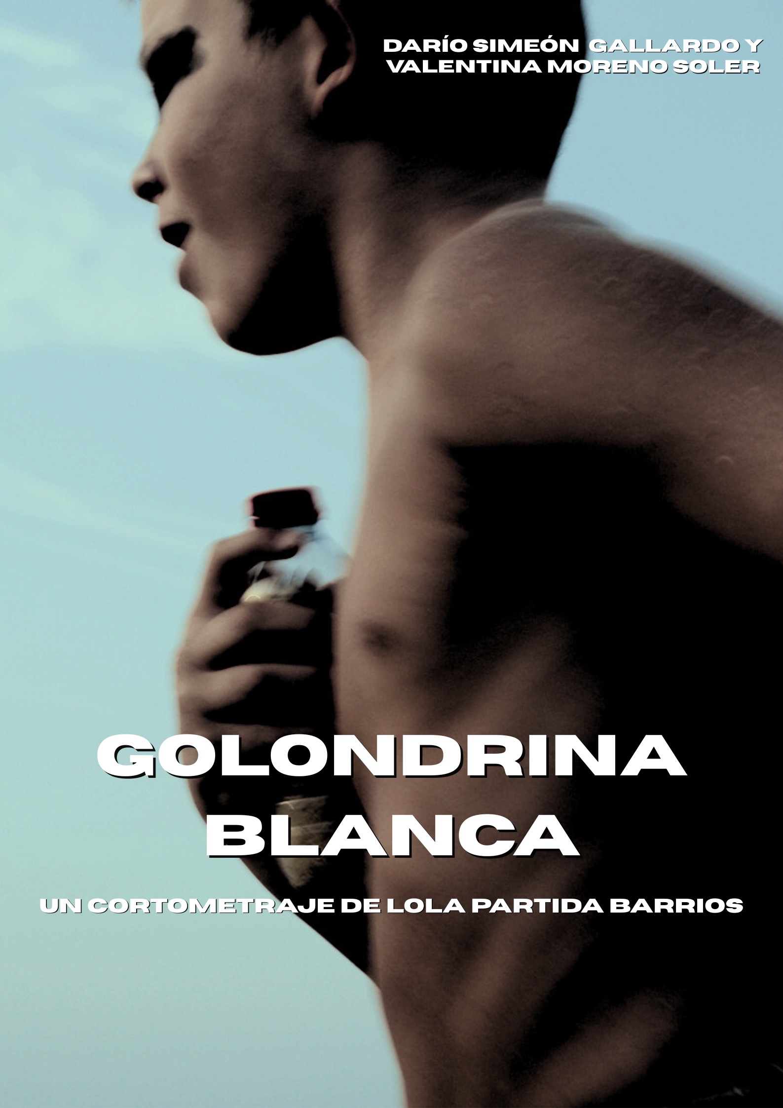 Póster del corto Golondrina Blanca