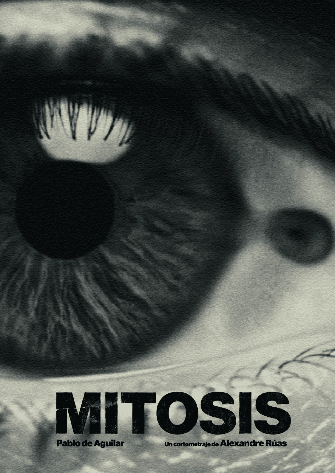 Póster del corto Mitosis