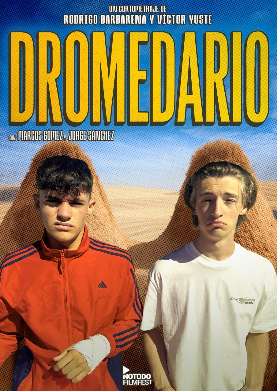 Póster del corto Dromedario