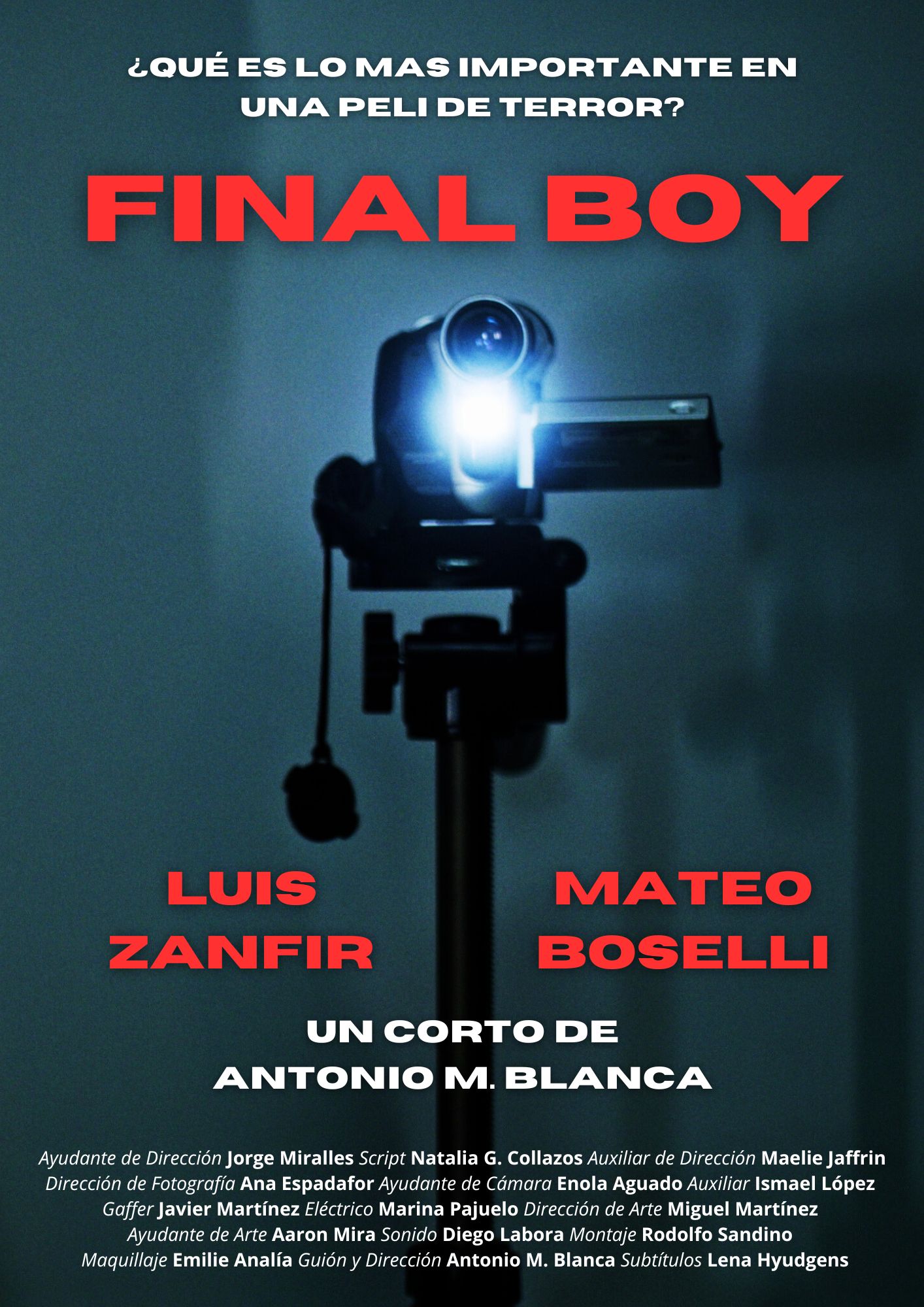 Póster del corto Final Boy