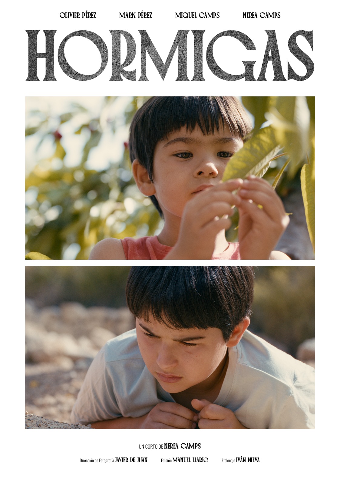 Póster del corto Hormigas