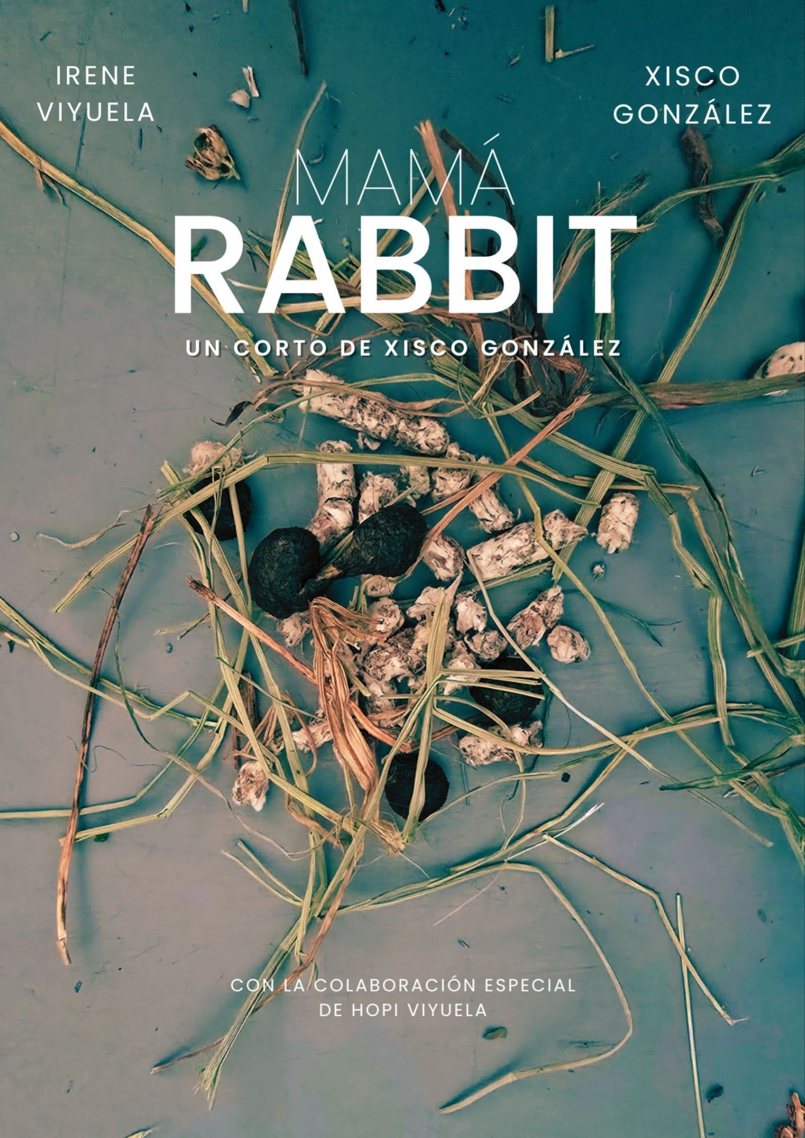 Póster del corto MAMÁ RABBIT